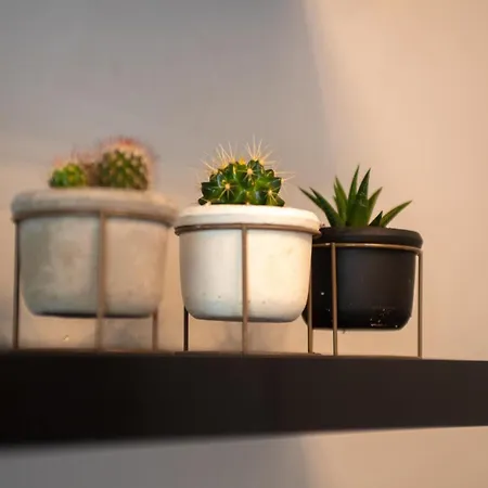 Historic Manoir In Normandy Elegance In A Semi-rural Setting Ideal For Groups And Families *