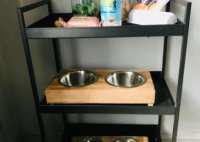 Historic Manoir In Normandy Elegance In A Semi-rural Setting Ideal For Groups And Families Vire-Normandie