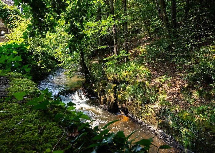 Holiday home Historic Manoir In Normandy Elegance In A Semi-rural Setting Ideal For Groups And Families