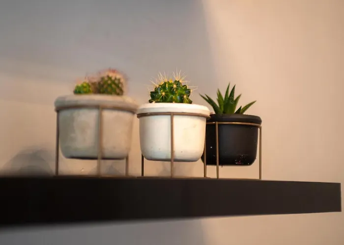 Historic Manoir In Normandy Elegance In A Semi-rural Setting Ideal For Groups And Families *